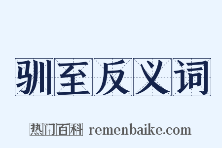 驯至反义词是什么意思的图片